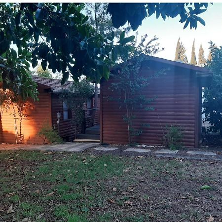 A Fun Holiday In The Galilee Sede Eli'ezer Ngoại thất bức ảnh